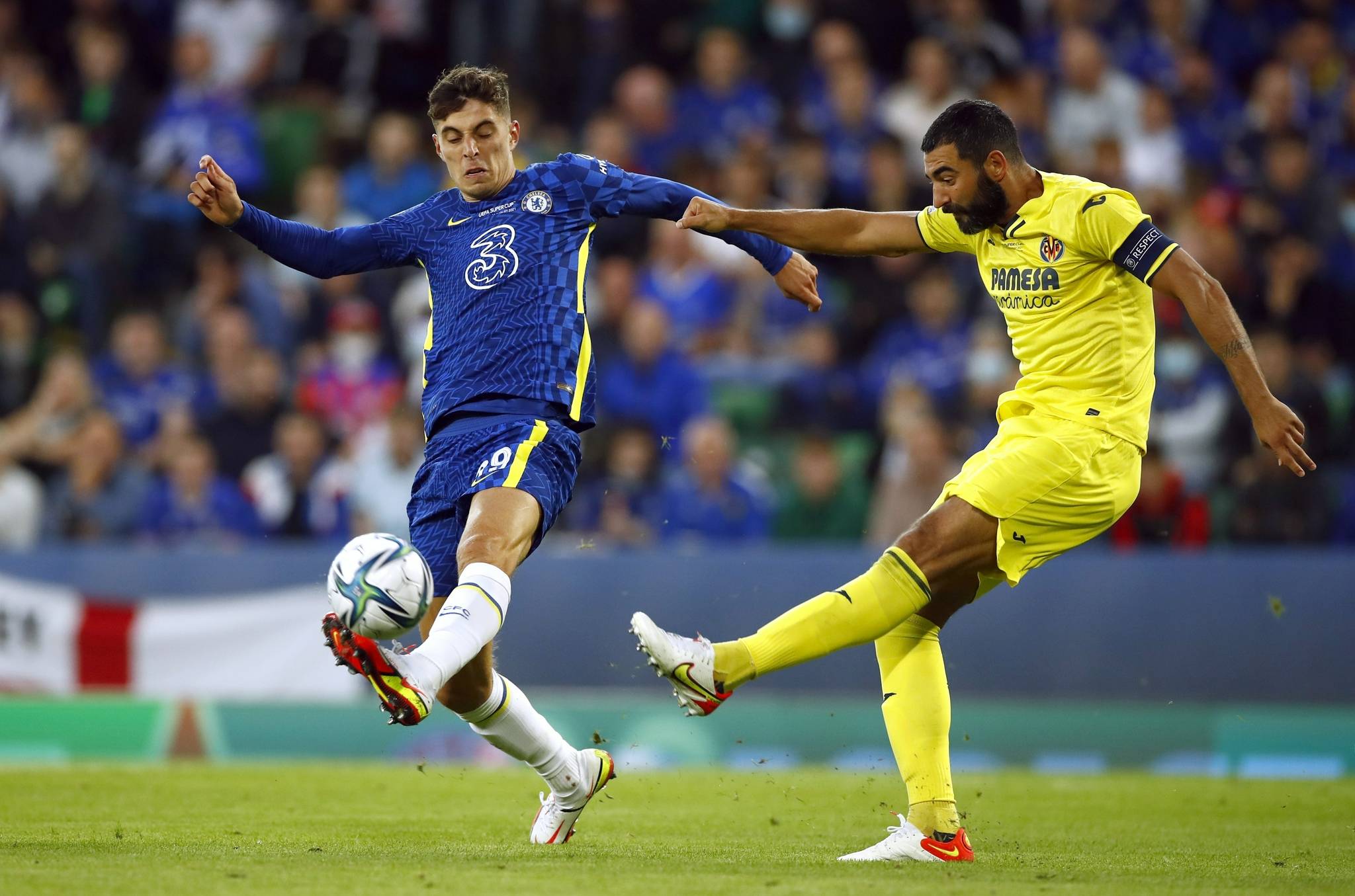 作为常年稳 作为常年稳